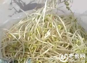 豆芽爆料视频大全集,揭秘娱乐圈幕后真相 第1张 豆芽爆料视频大全集,揭秘娱乐圈幕后真相 第1张