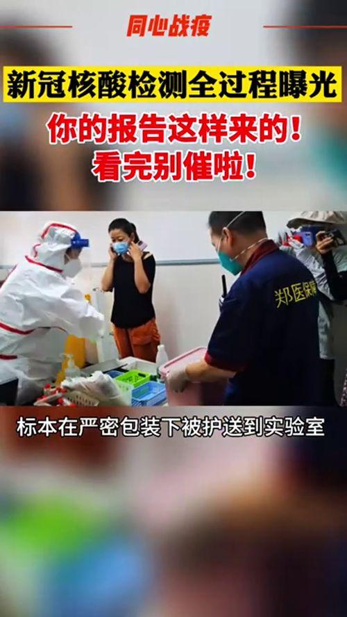 核酸爆料视频真实,真相与争议并存  第2张